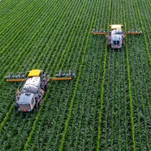 Agriculture